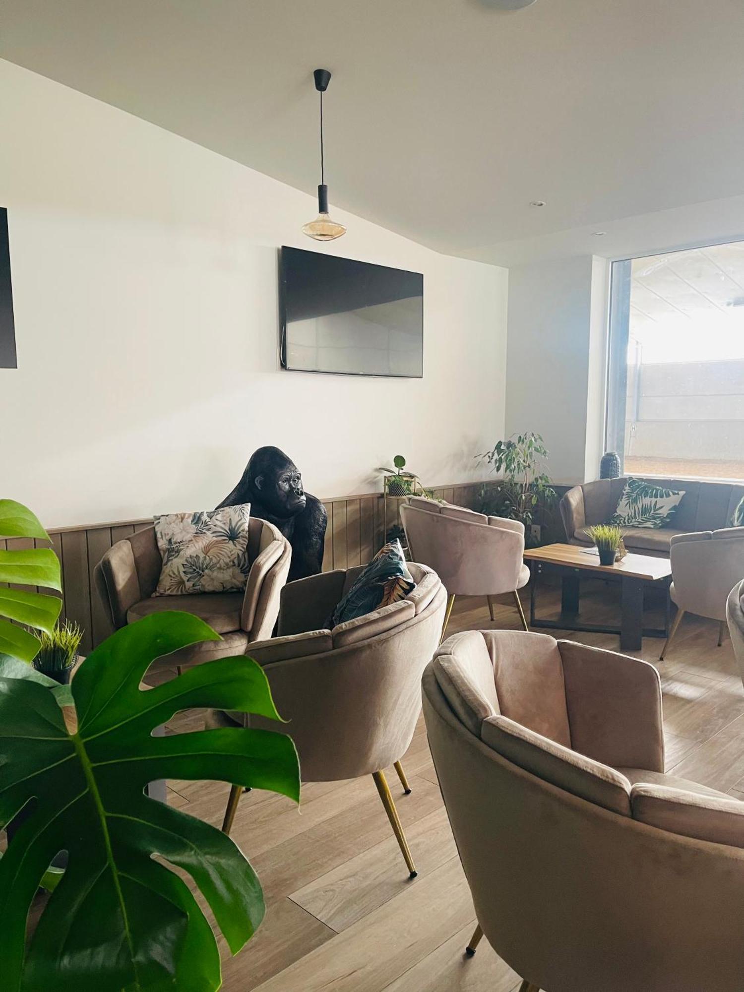 Equus B&B Bredene Zewnętrze zdjęcie