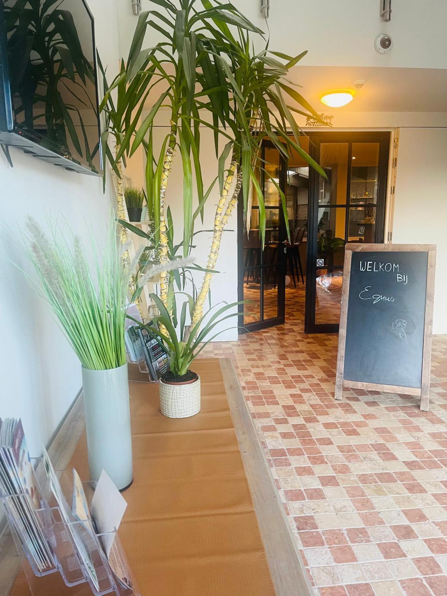 Equus B&B Bredene Zewnętrze zdjęcie